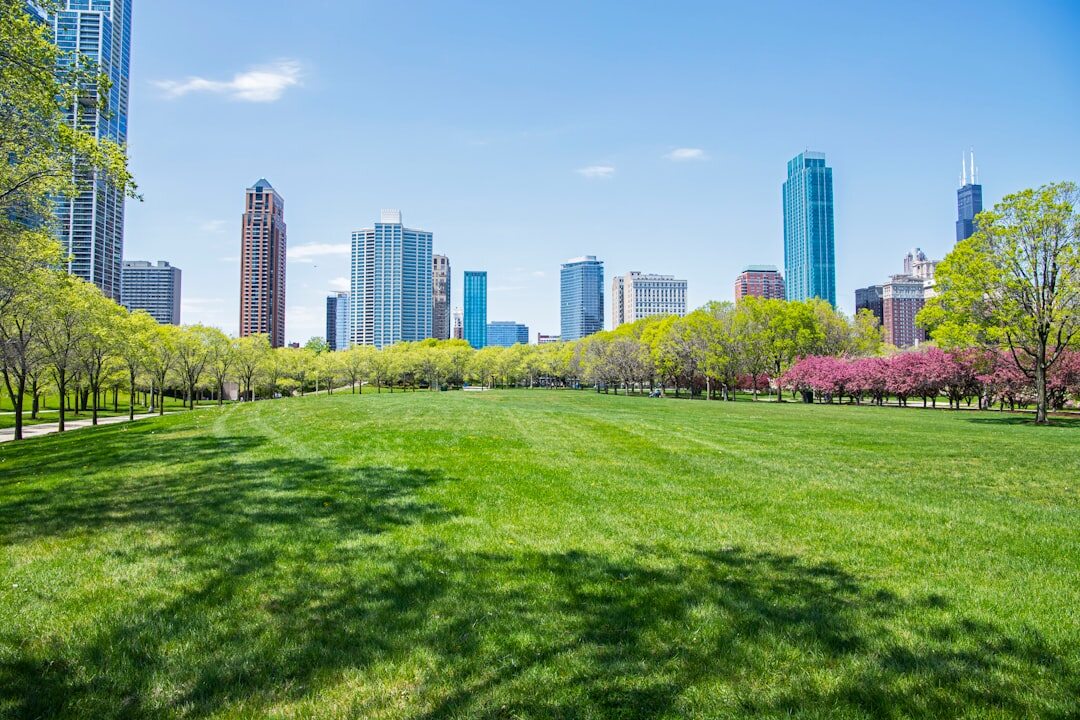 city park landscape